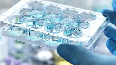 翰森制药：EQRx关于阿美替尼用于治疗表皮生长因子突变的非小细胞肺癌上市允许申请获EMA受理