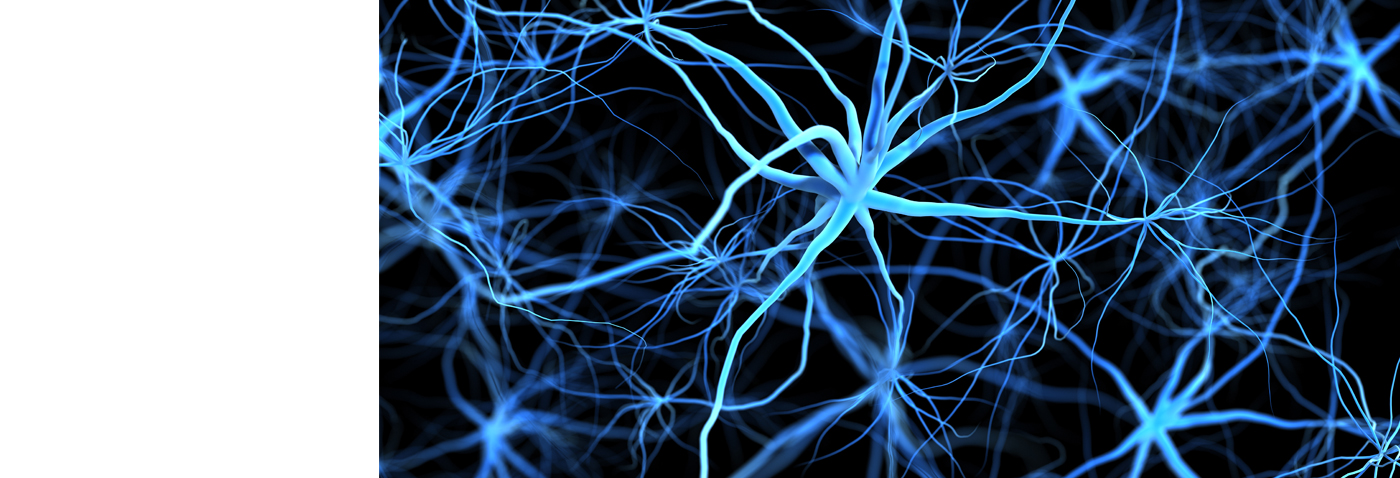 AG真人国际(中国) - 官方网站